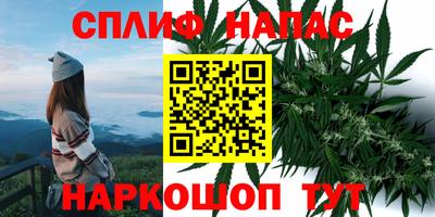 COCAINE Будённовск