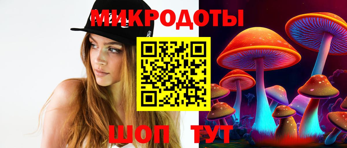 Галлюциногенные грибы Psilocybine cubensis Ленинск-Кузнецкий